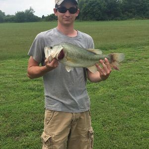 Meet your Posher, Devon